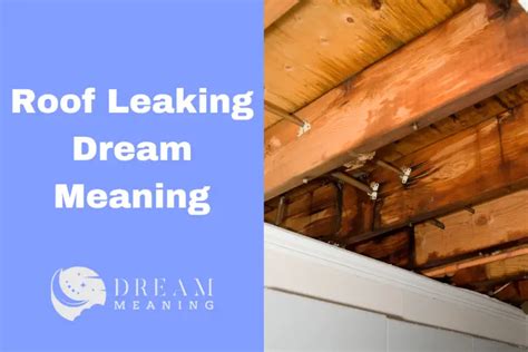 What is the Meaning of Leaking Roof in a Dream: Insights into。